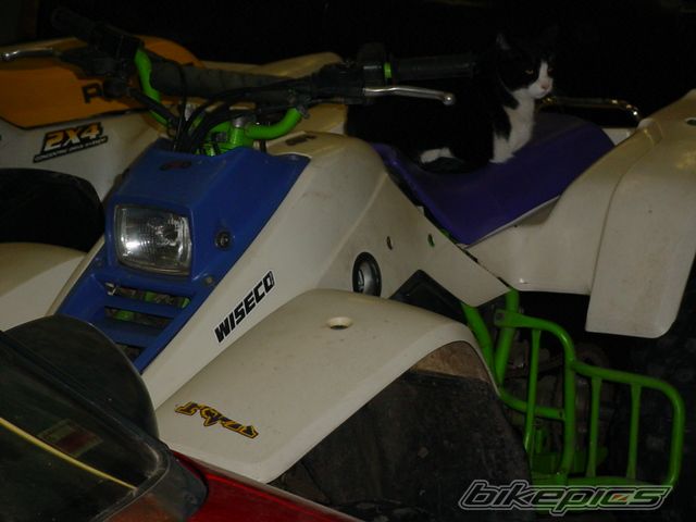 Photo 803692