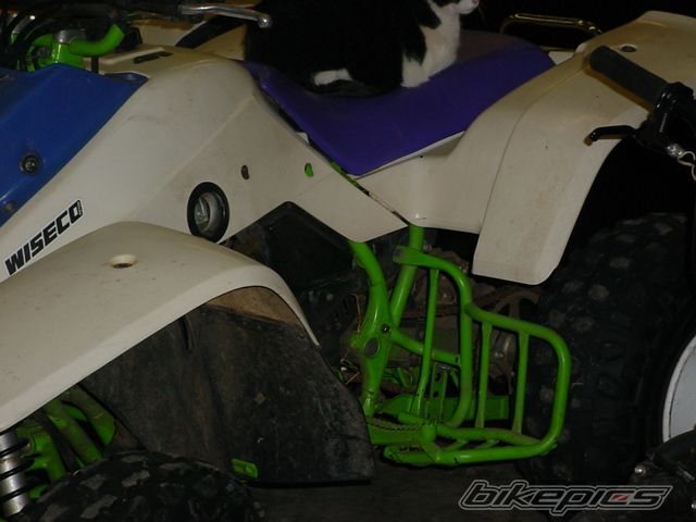 Photo 803698