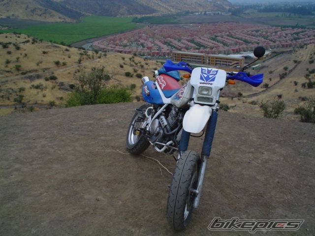 Photo 80424