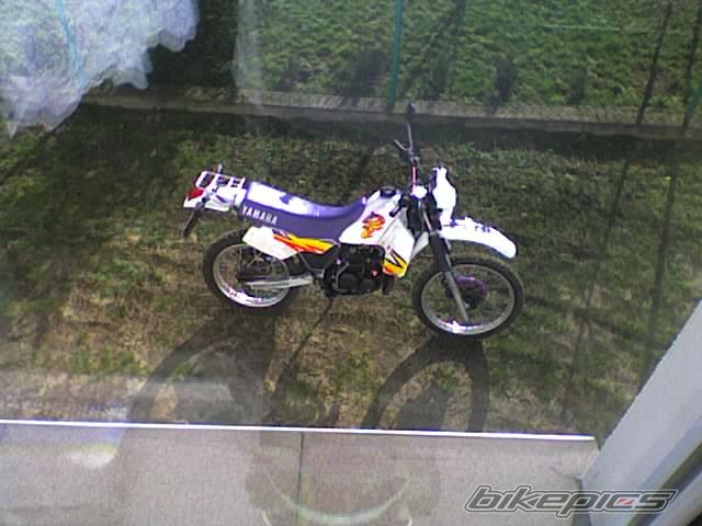 Bike Photo 804347