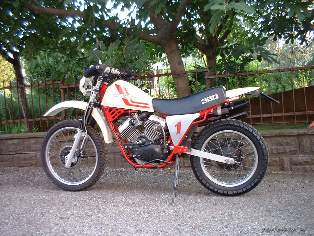 Bike Photo 804430