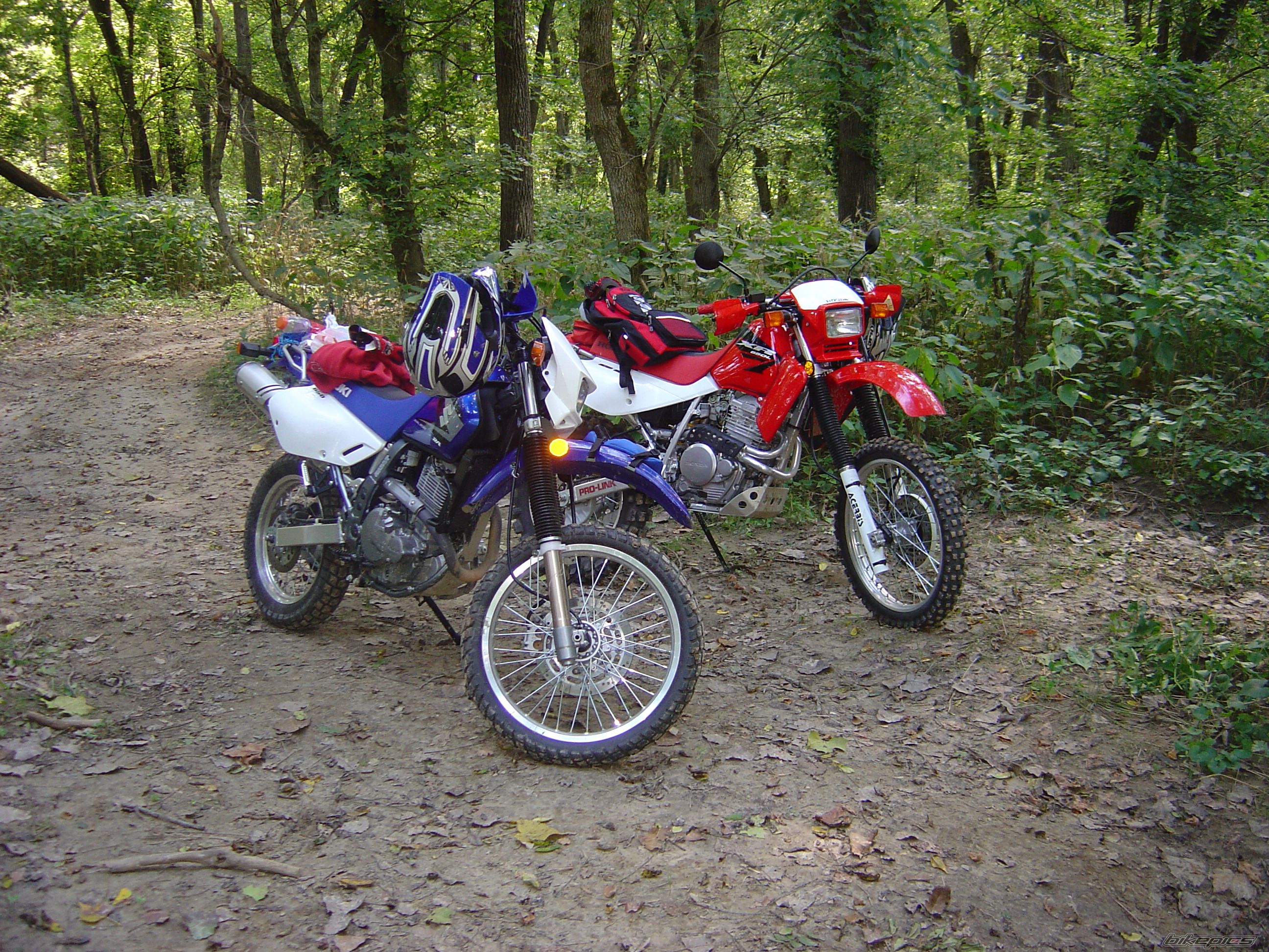 Bike Photo 804716
