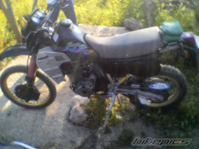 Photo 804793