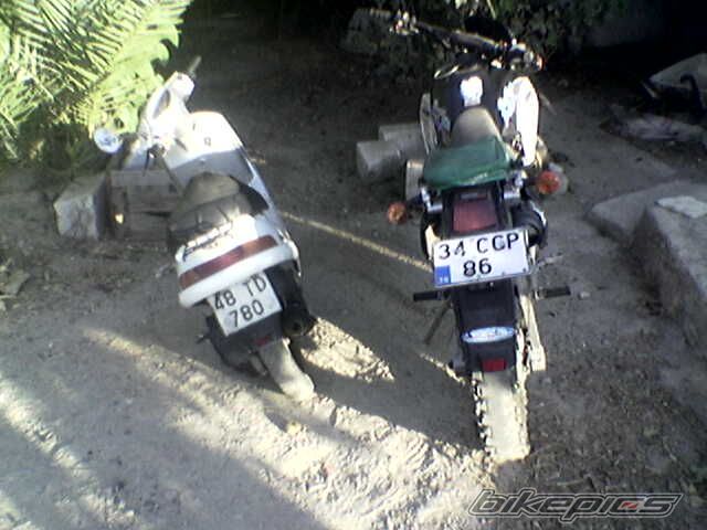 Photo 804798