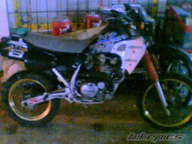 Photo 804804