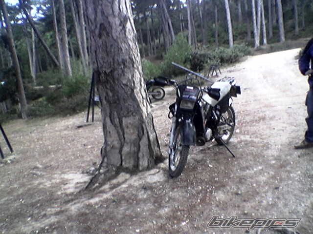 Photo 804806