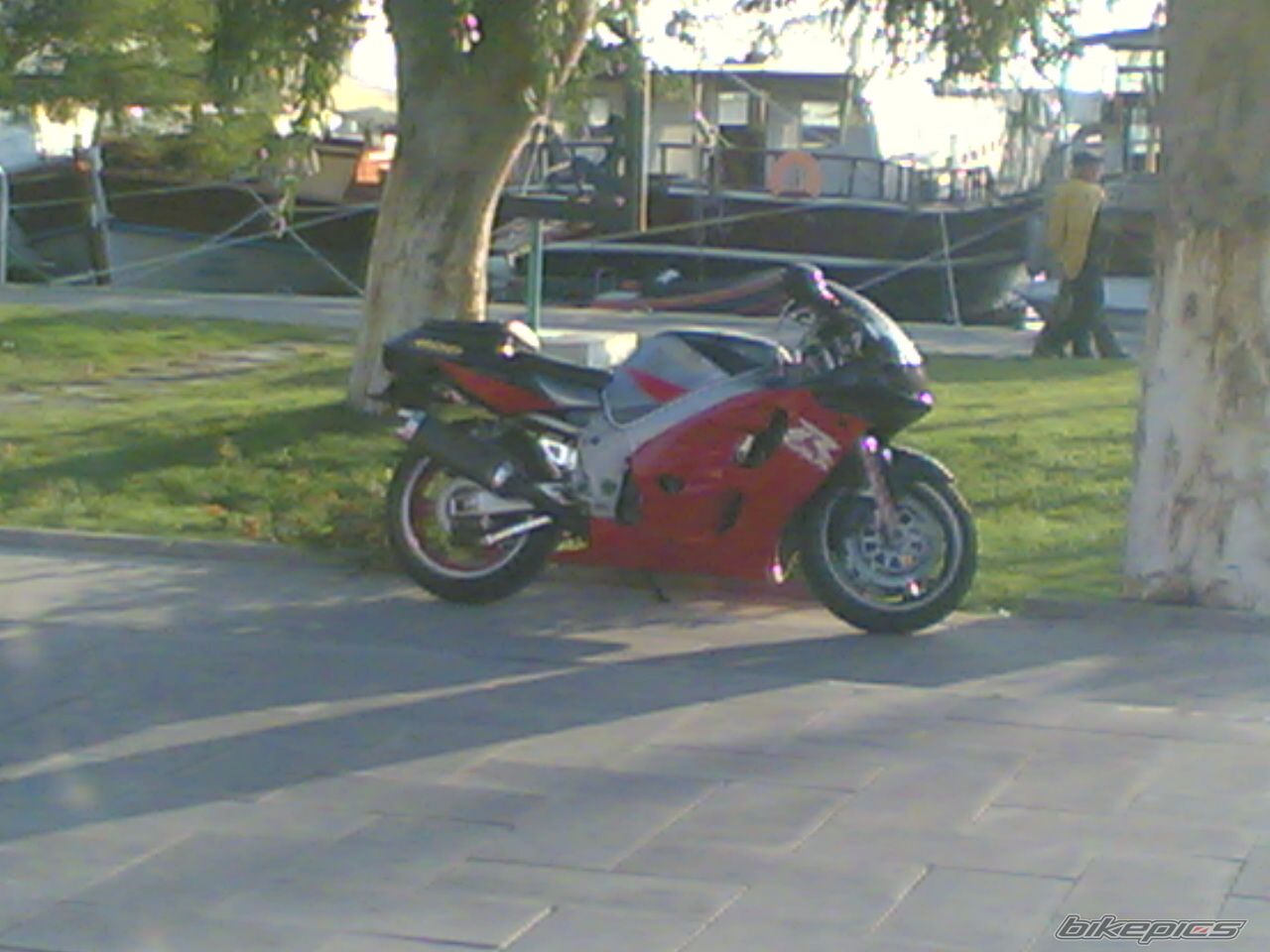 Photo 804852