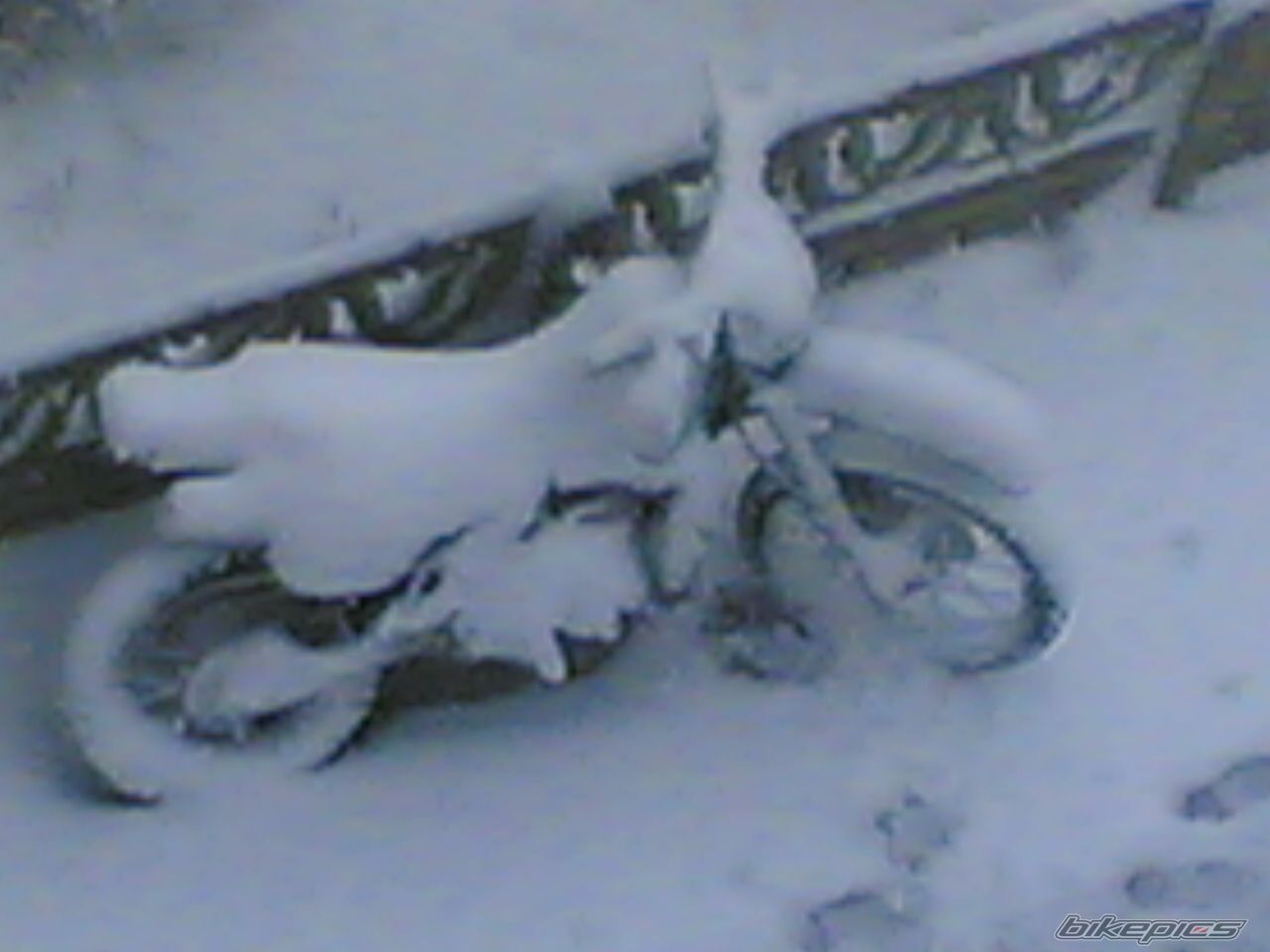 Bike Photo 804870