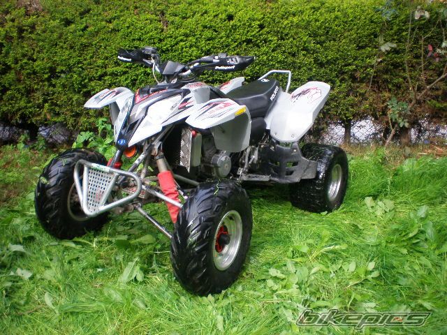 Photo 805219