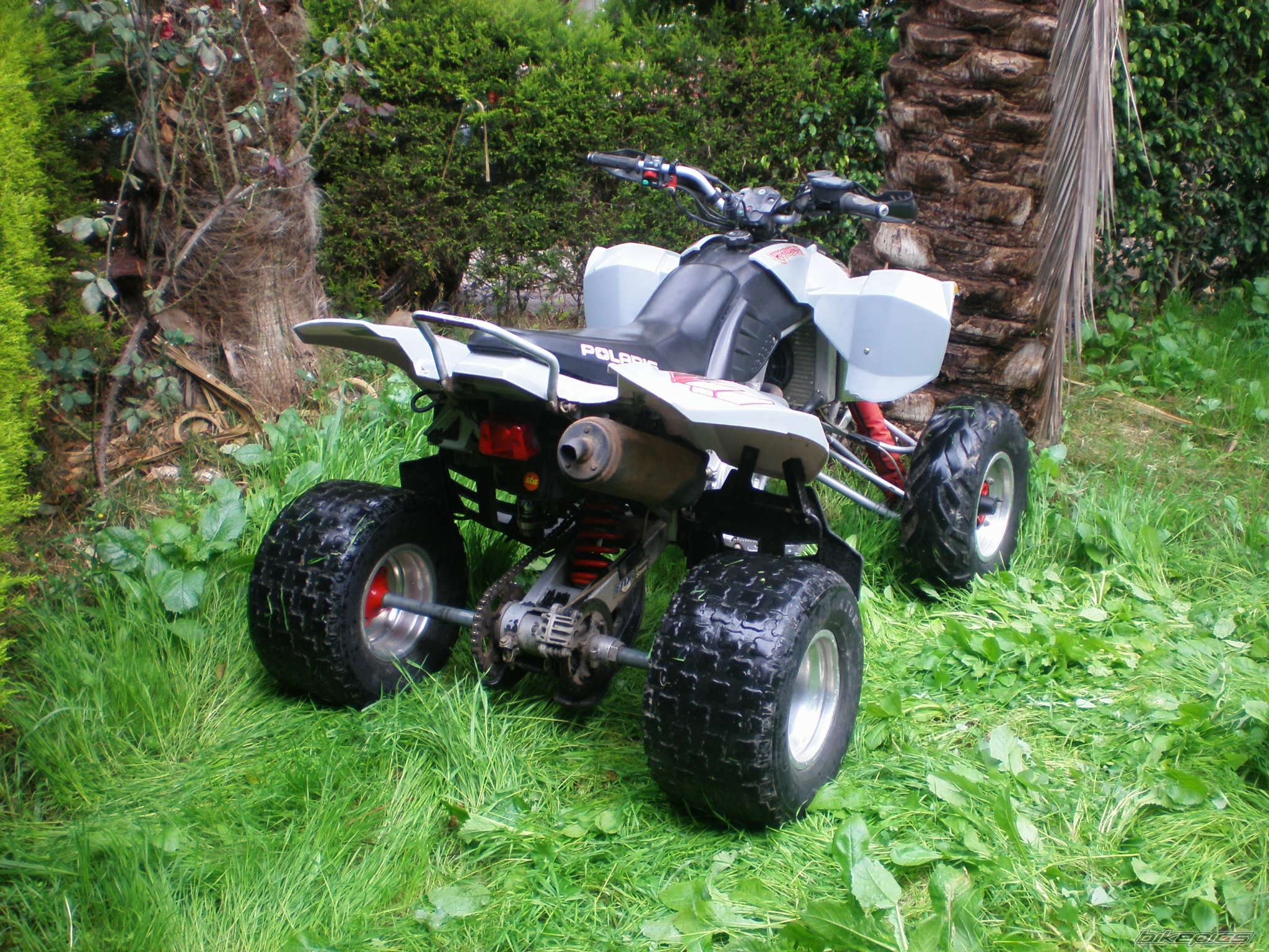 Photo 805244