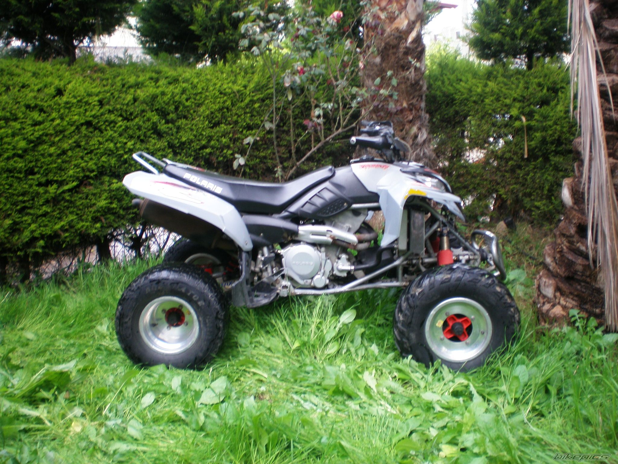 Photo 805248
