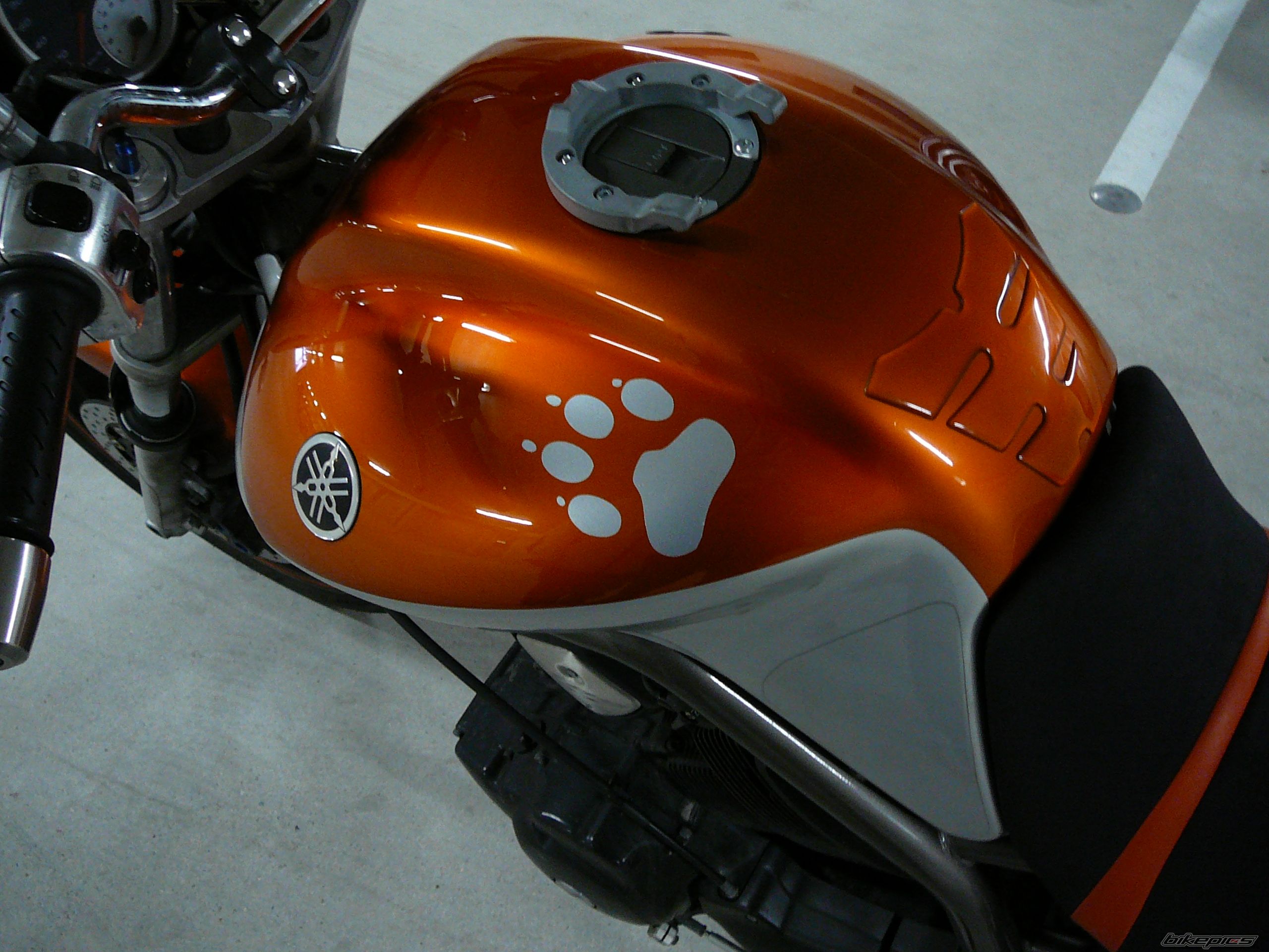 Bike Photo 805259