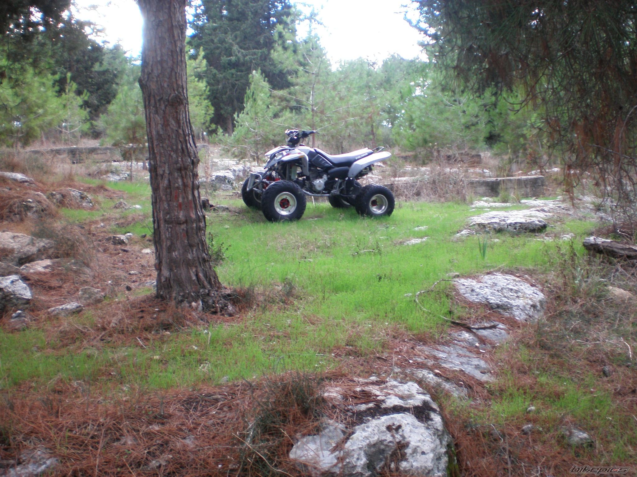 Photo 805314