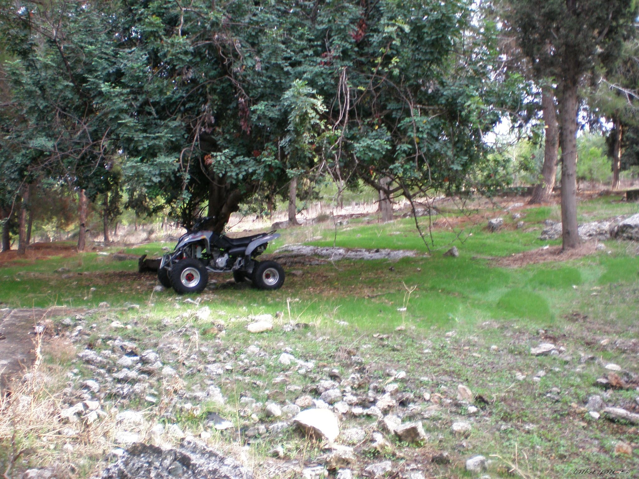 Photo 805315