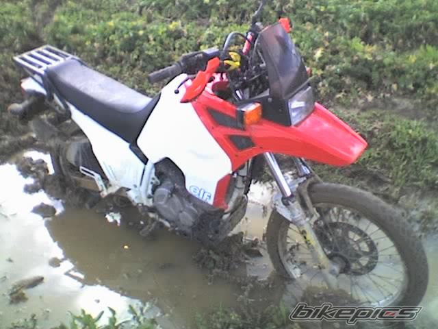 Bike Photo 805453