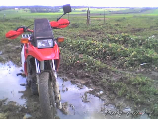 Bike Photo 805454