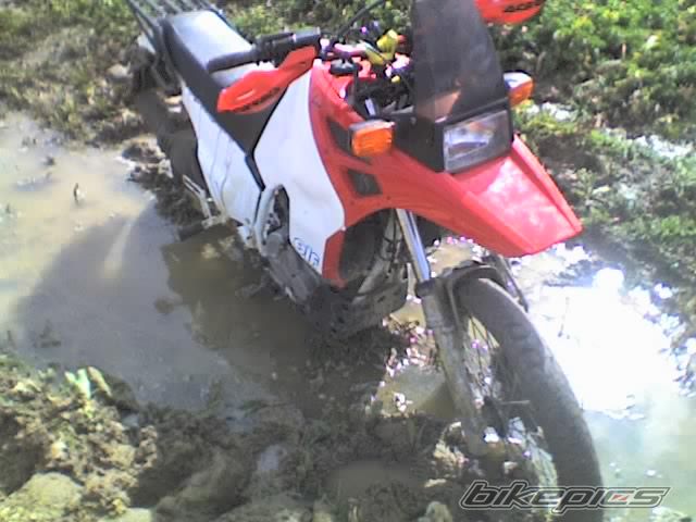Bike Photo 805455