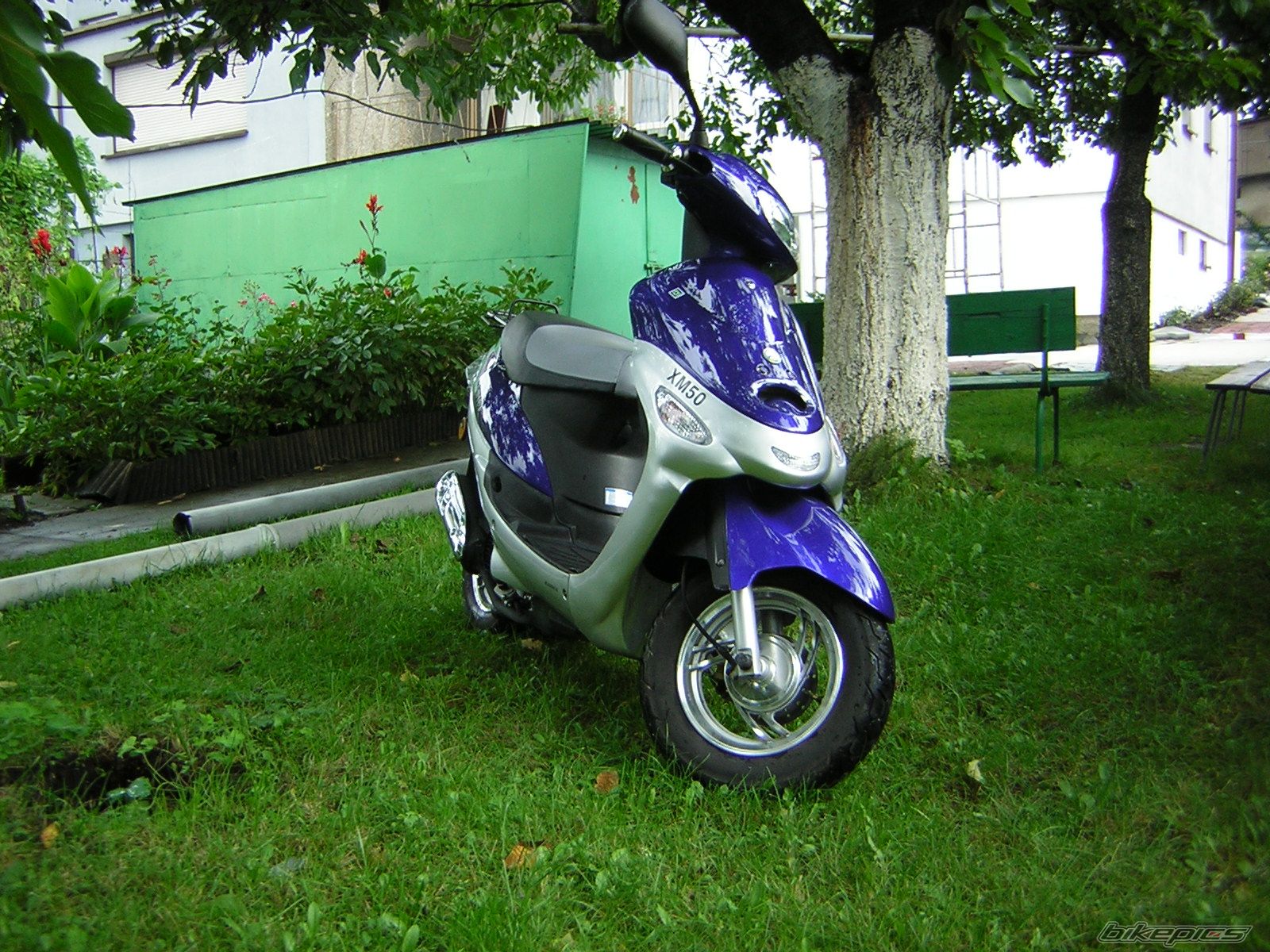 Photo 805582