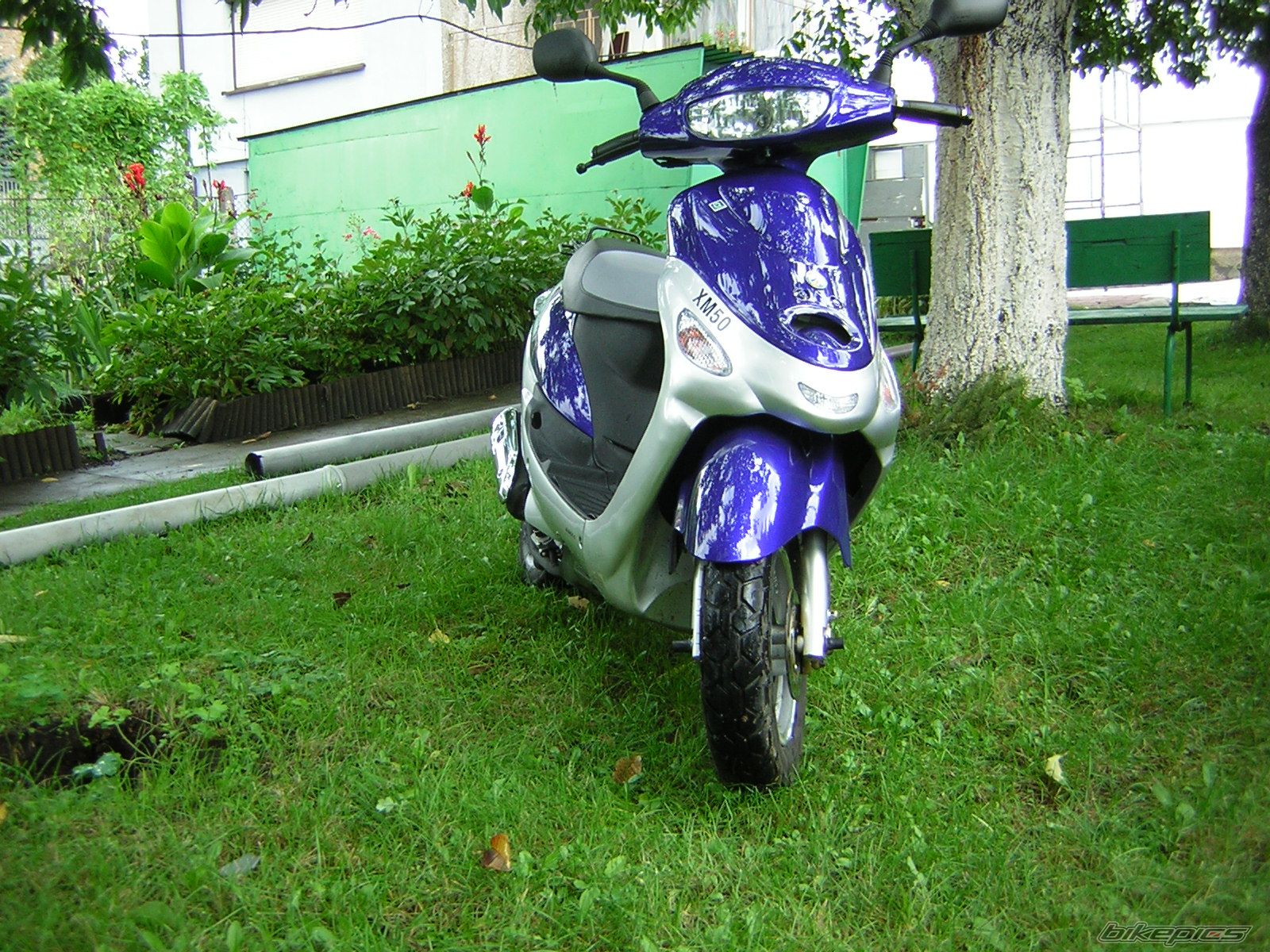 Bike Photo 805584