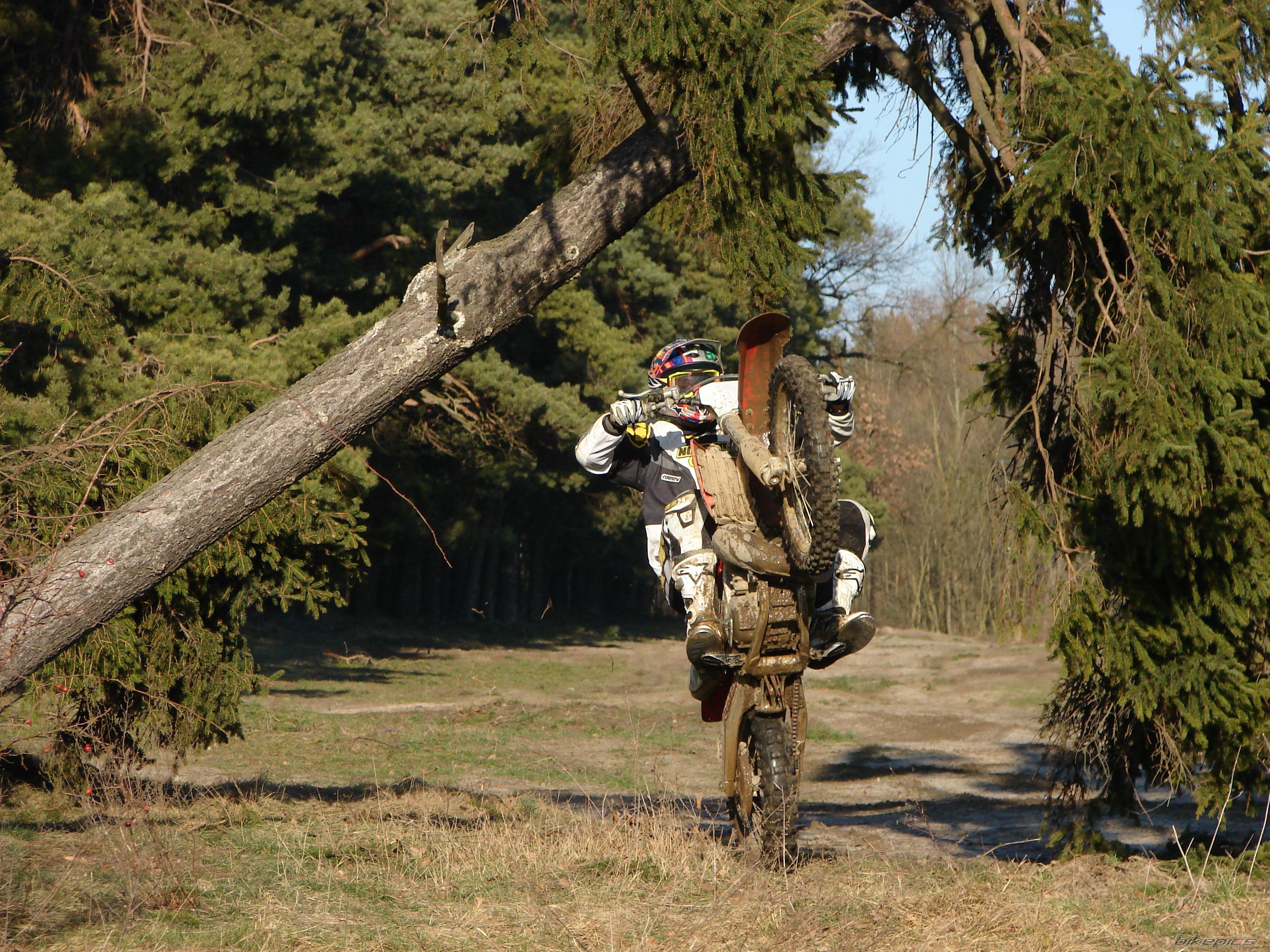 Bike Photo 805794