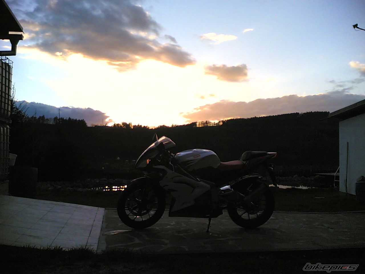 Photo 805832