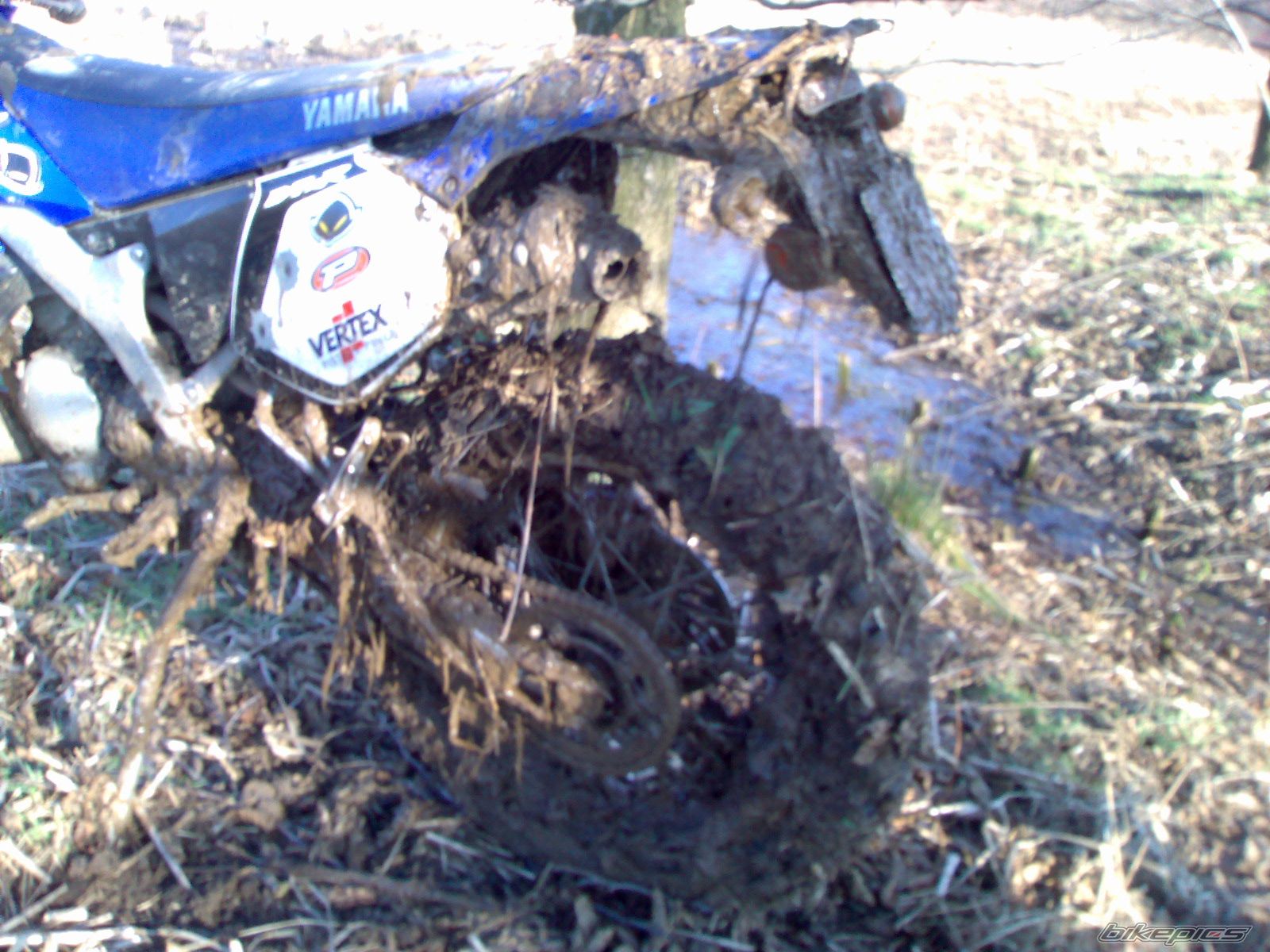 Bike Photo 805865