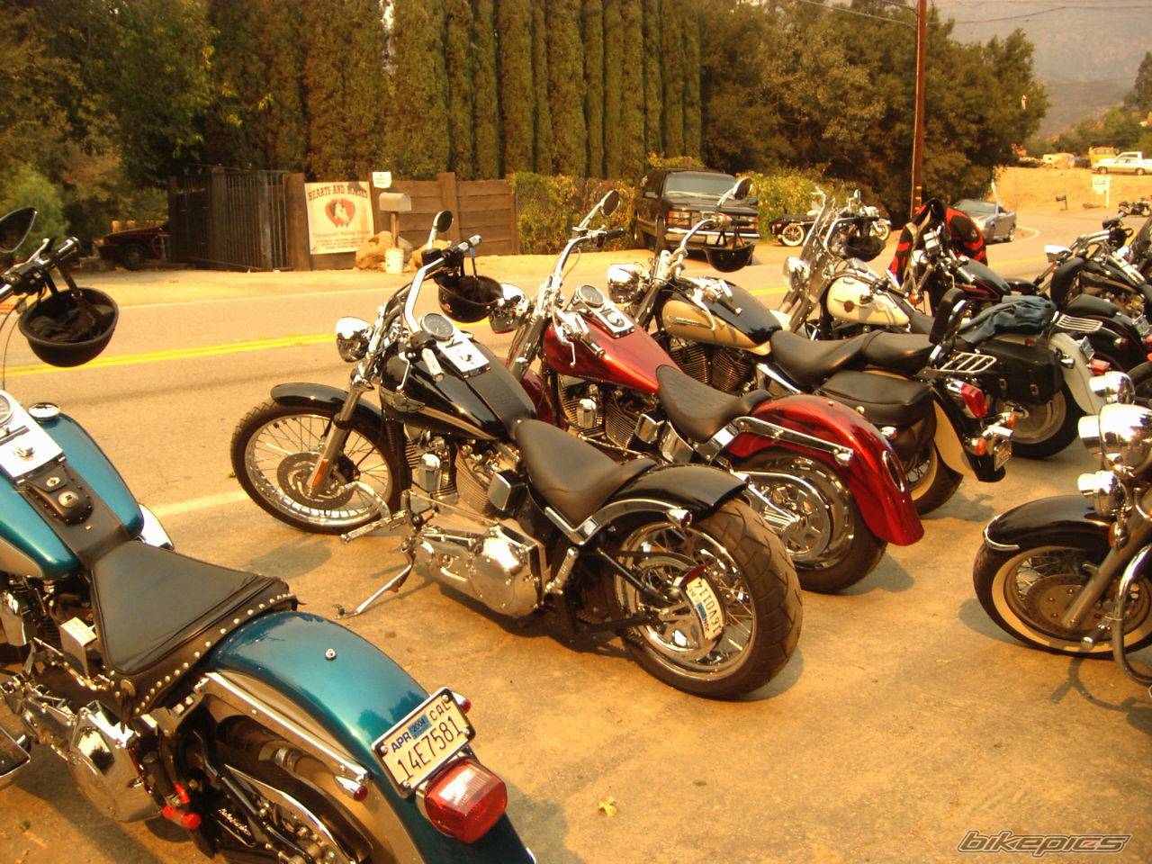 Bike Photo 80605