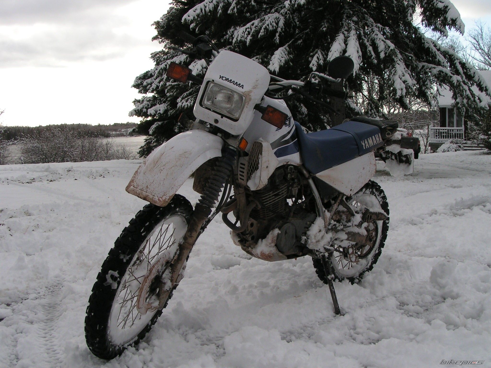 Photo 806050