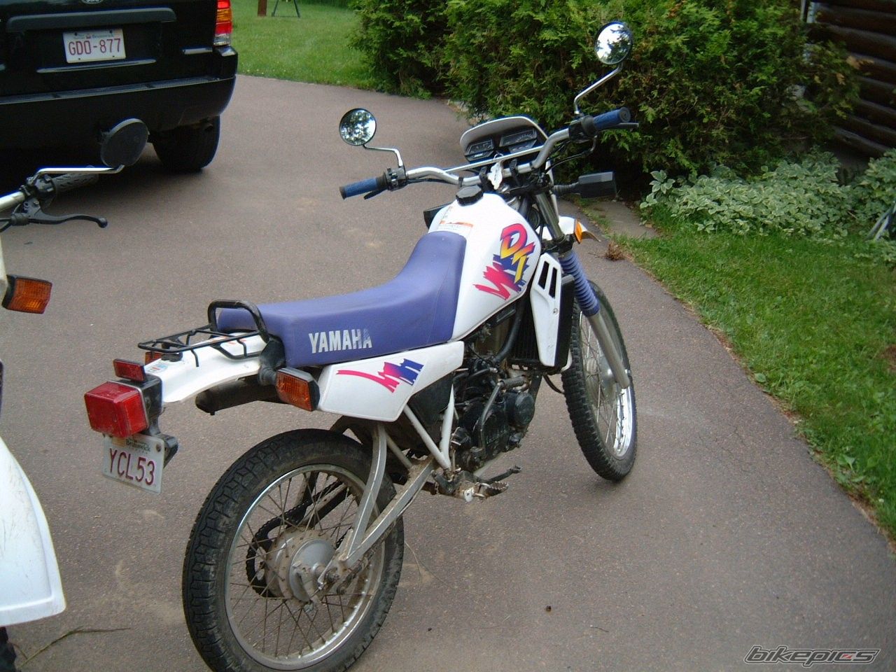 Photo 806061