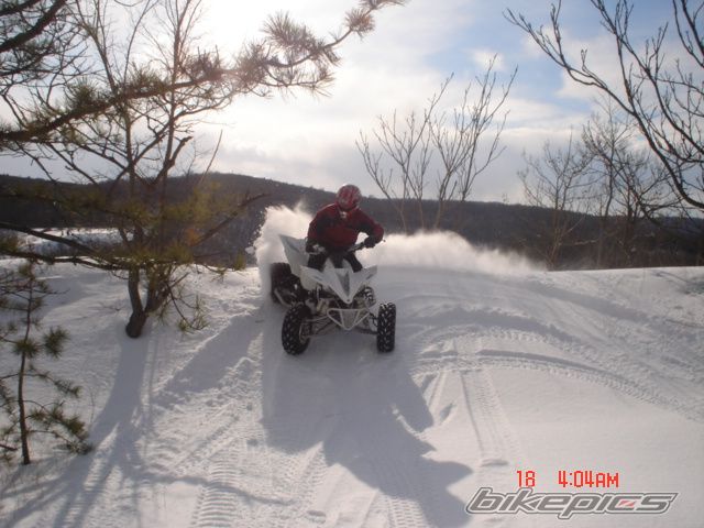 Photo 806233