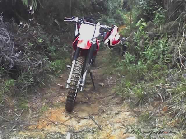 Photo 806251