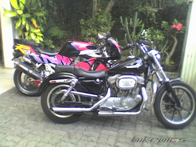 Photo 806276
