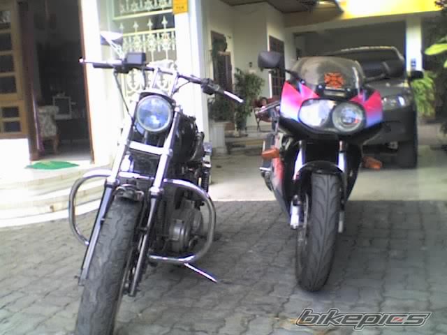 Photo 806278