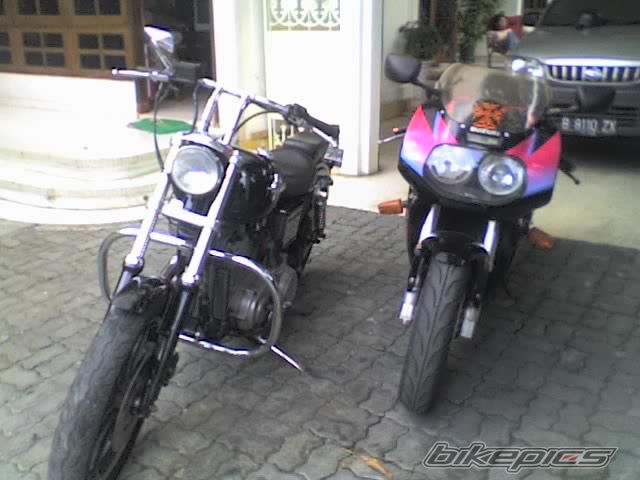 Photo 806280