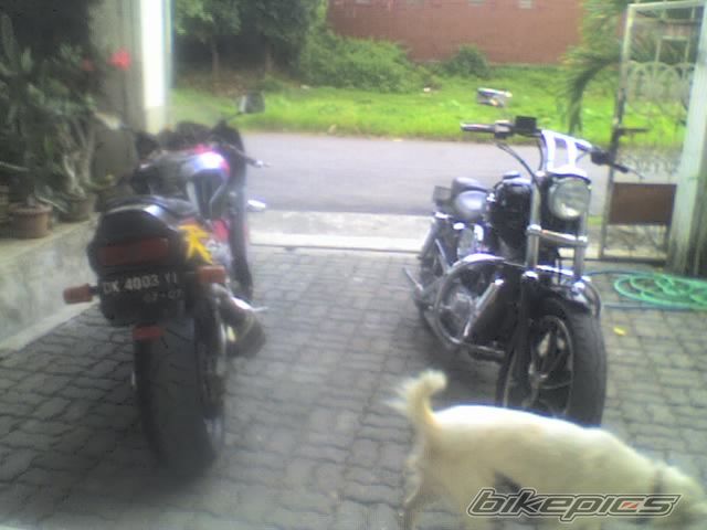 Photo 806281