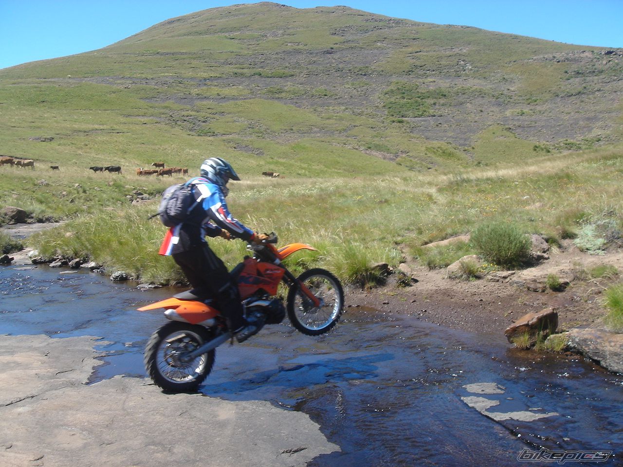 Bike Photo 806442