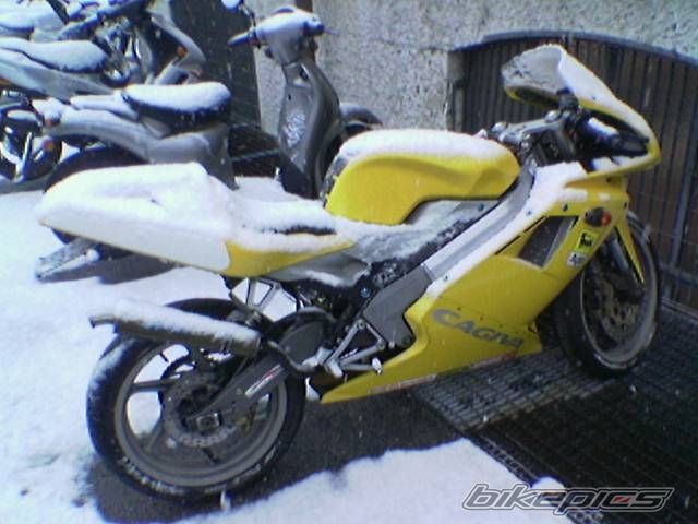 Photo 807042