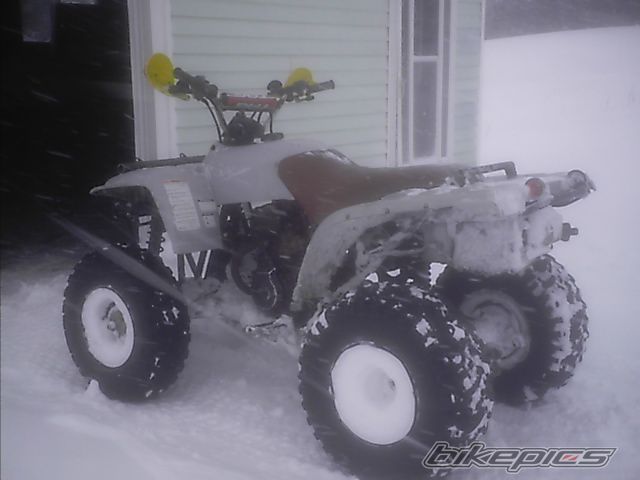 Photo 807043