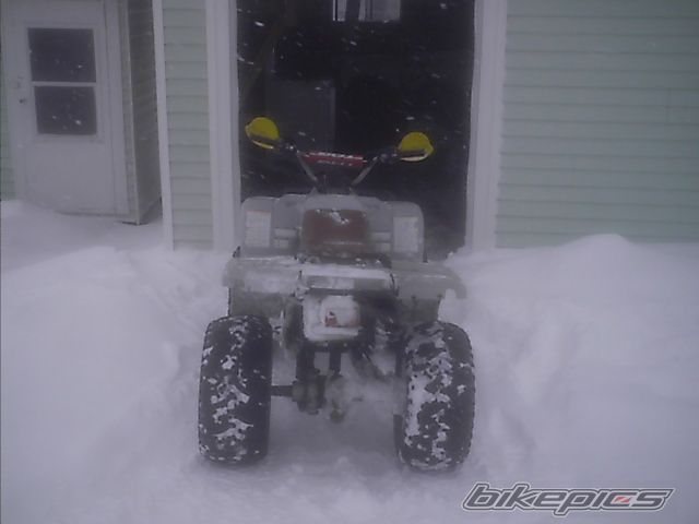 Photo 807054