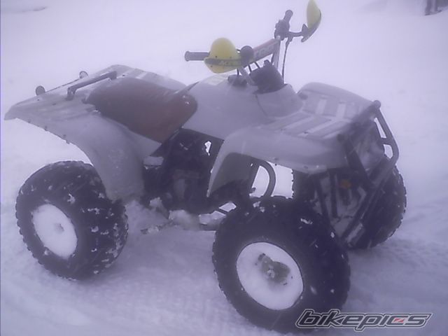 Photo 807062