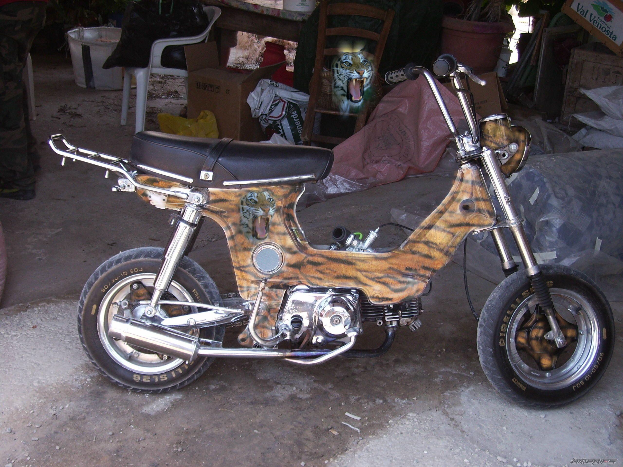 Bike Photo 807095