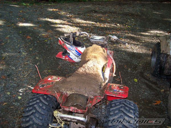 Photo 807245
