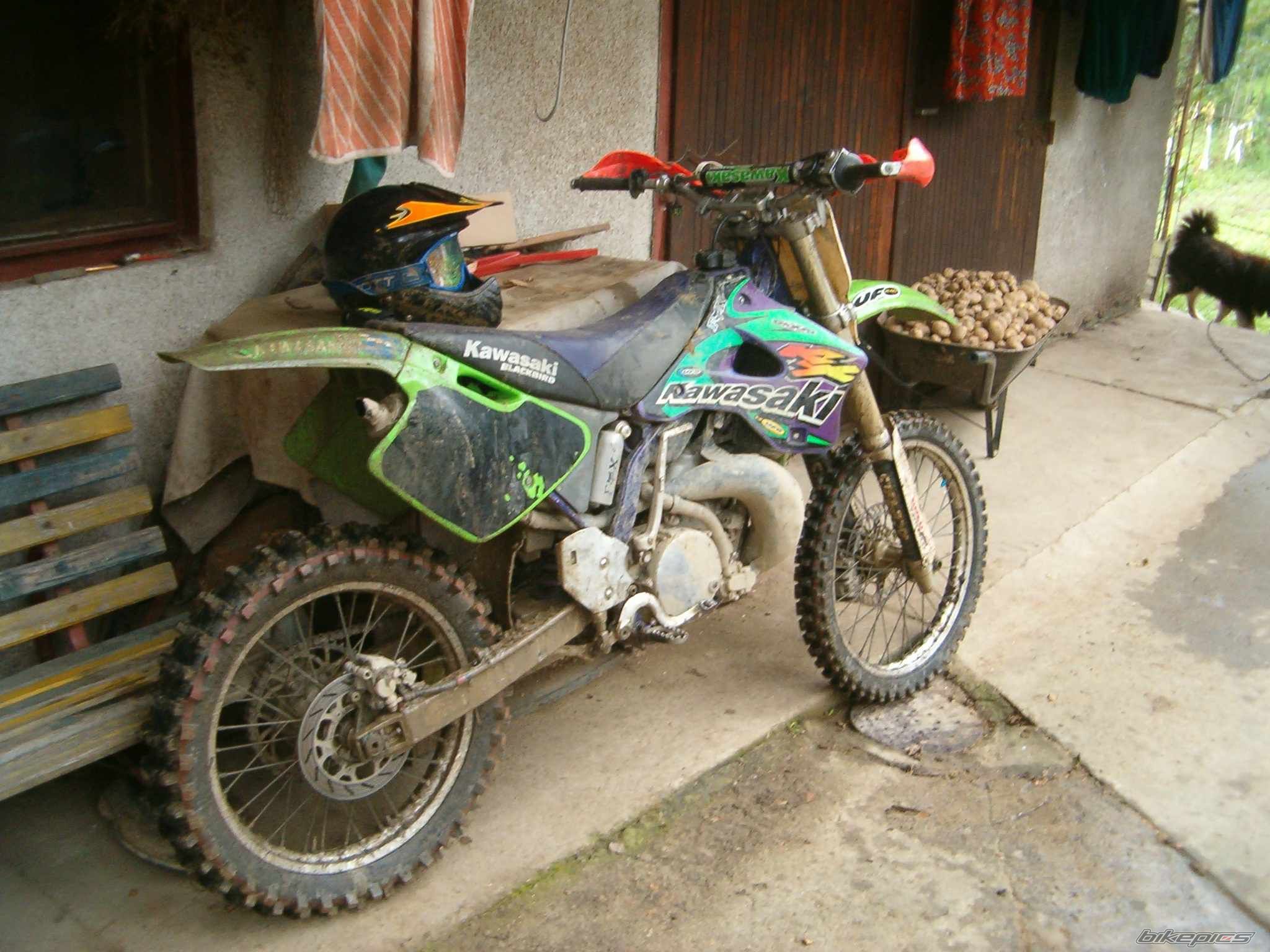Bike Photo 807648