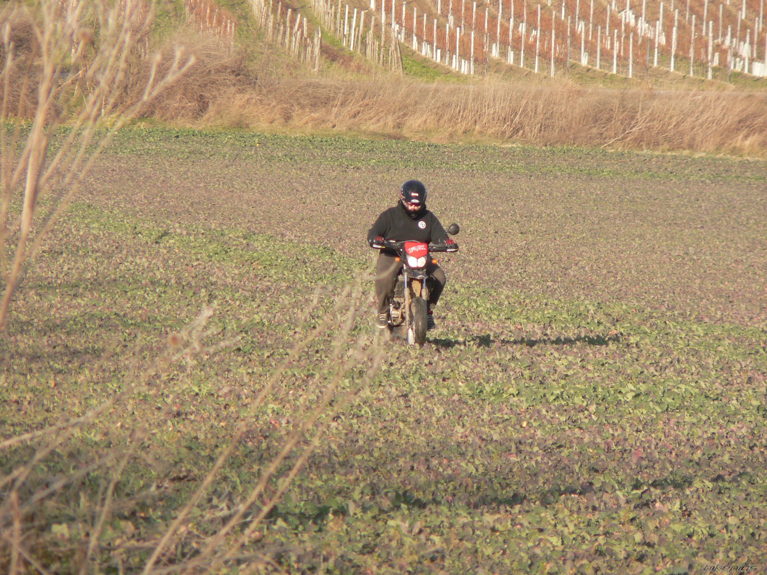 Bike Photo 808105