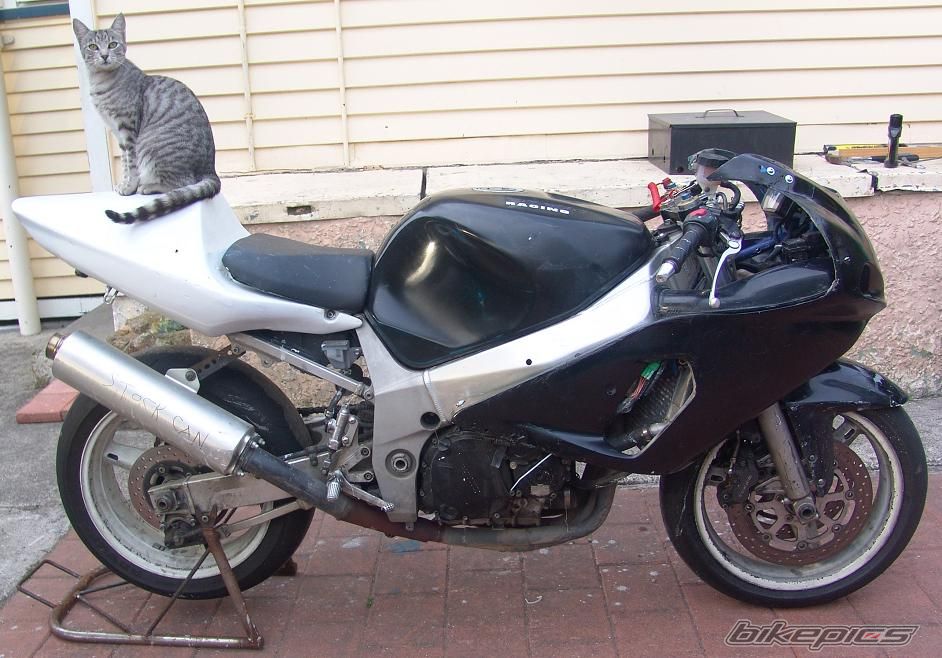 Bike Photo 808396