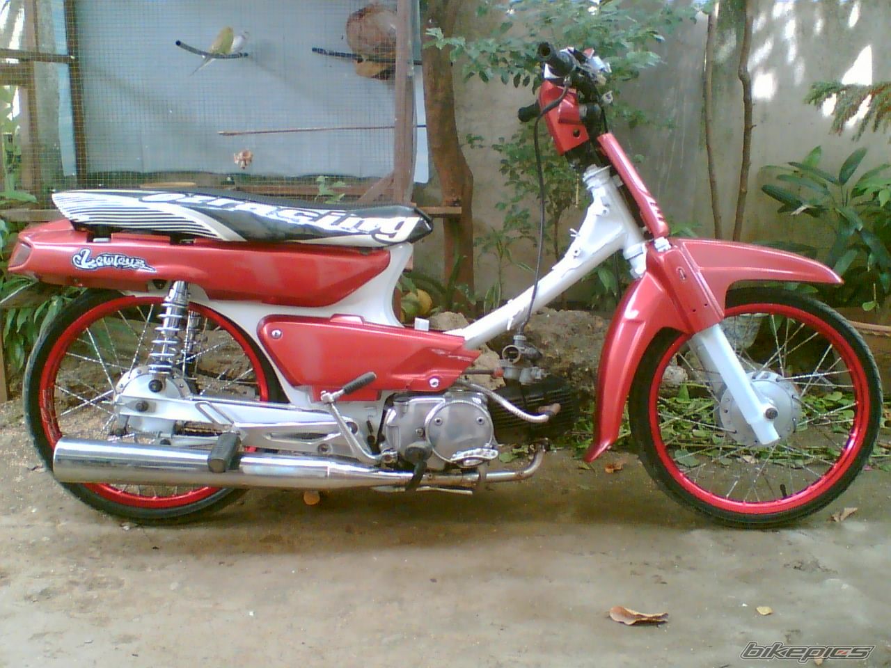 Bike Photo 808434