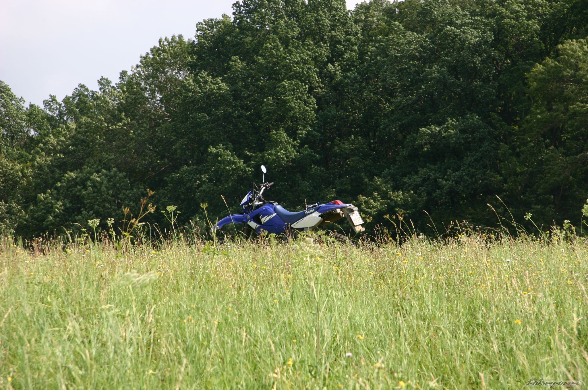 Bike Photo 808912