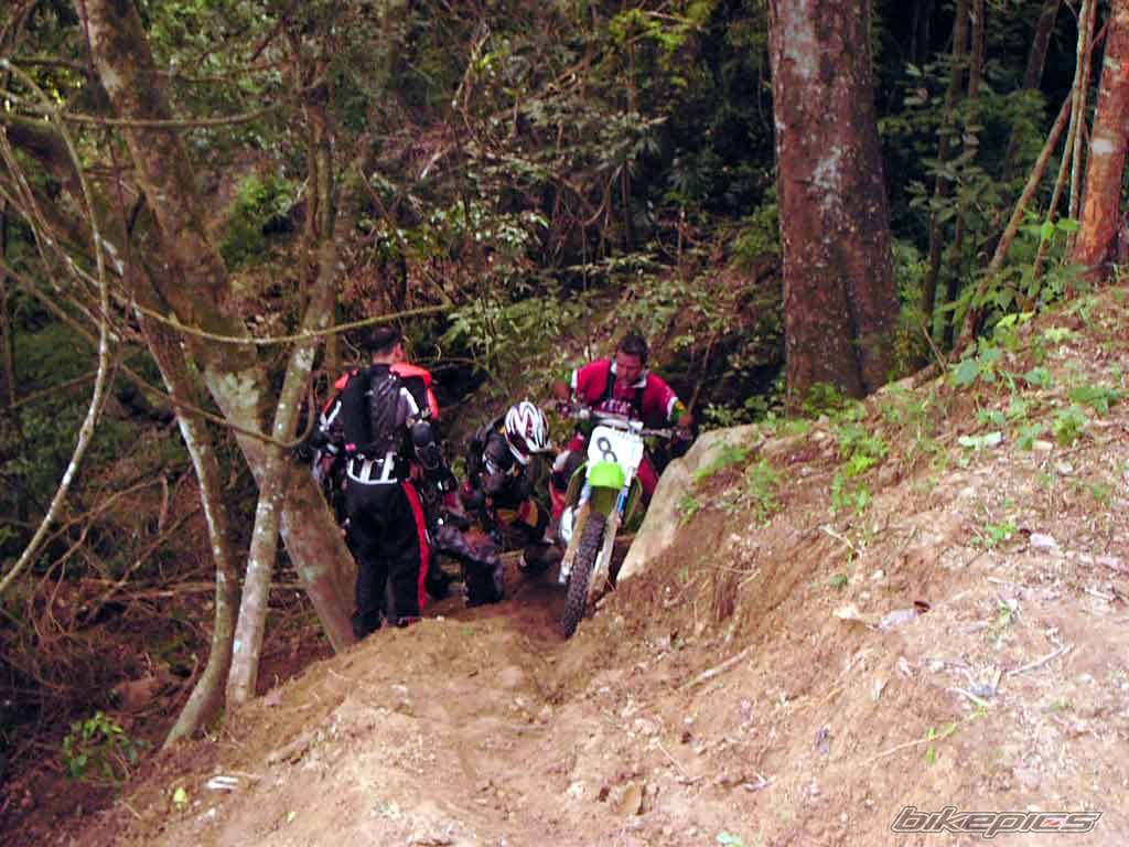 Bike Photo 80987