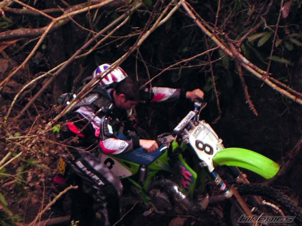 Bike Photo 80990