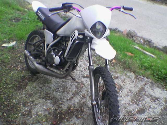 Photo 809982